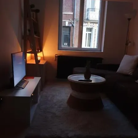 Appartement Marron 5 Stars Amiens